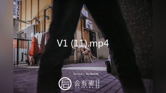 V1 (11).mp4