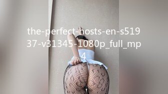 the-perfect-hosts-en-s51937-v31345-1080p_full_mp4