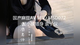 国产麻豆AV MSD MSD072 发小换错身 袁子仪