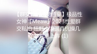 【群交派对视觉盛宴】极品性女神『Meaw』2023性爱群交私拍 狂野小浪逼真抗操几个J8轮番上阵 (1)