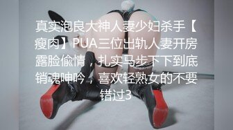 真实泡良大神人妻少妇杀手【瘦肉】PUA三位出轨人妻开房露脸偸情，扎实马步下下到底销魂呻吟，喜欢轻熟女的不要错过3