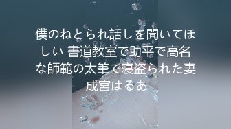 僕のねとられ話しを聞いてほしい 書道教室で助平で高名な師範の太筆で寝盗られた妻 成宮はるあ