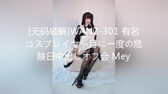 [无码破解]WANZ-301 有名コスプレイヤー月に一度の危険日中出しオフ会 Mey